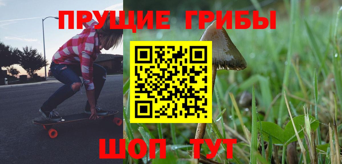 Псилоцибиновые грибы Psilocybine cubensis Егорьевск